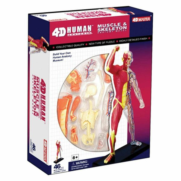 Tedco Toys 4D Human Anatomy Muscle & Skeleton Model TE564419